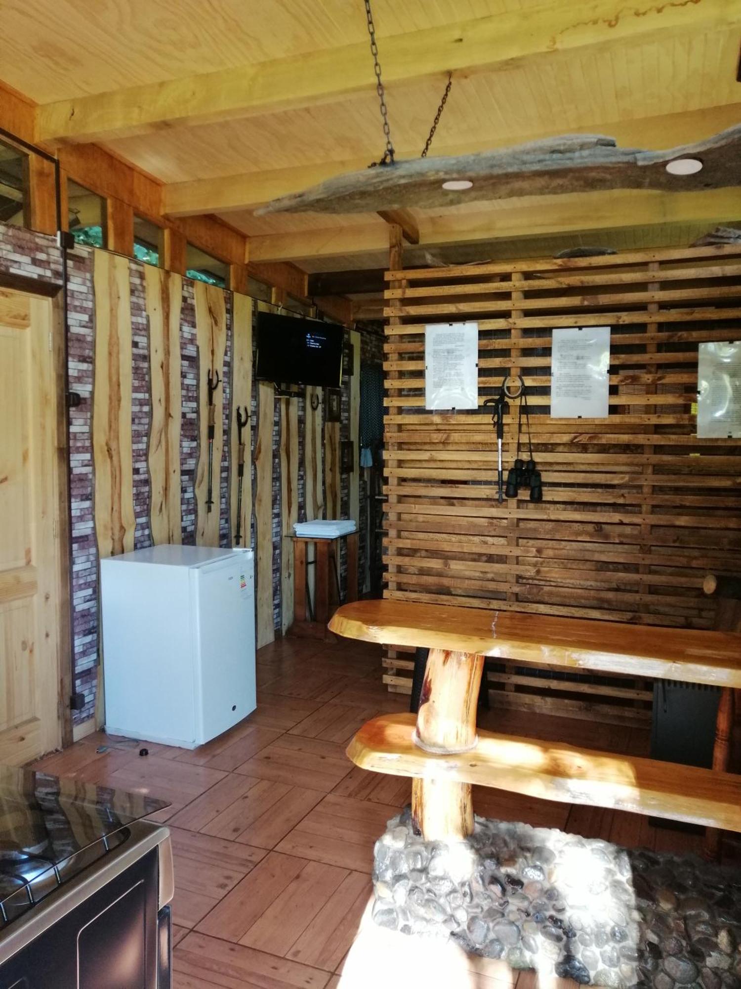 הוילה מליפאוקו Brisas Del Llaima מראה חיצוני תמונה